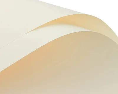 Elegant Solid Color Flower Wrapping Paper