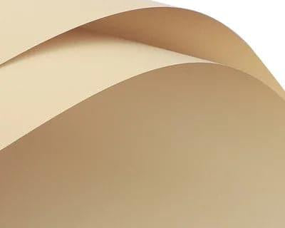 Elegant Solid Color Flower Wrapping Paper