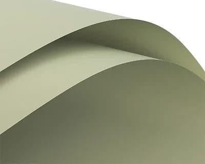 Elegant Solid Color Flower Wrapping Paper