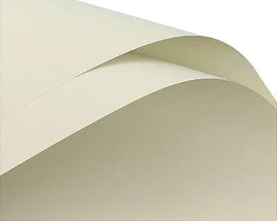 Elegant Solid Color Flower Wrapping Paper